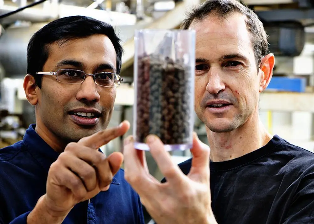 Skretting is rolling out a new concept for salmon grown in RAS Photo: Skretting
