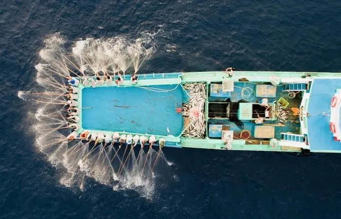 Protection and support for Maldives’ tuna