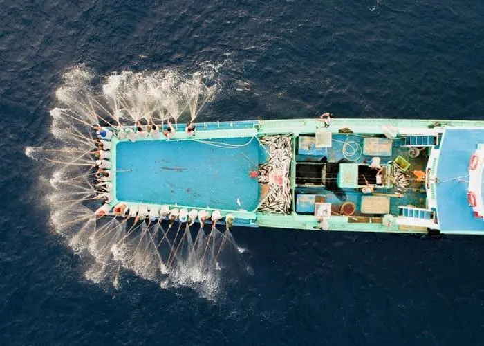 Protection and support for Maldives’ tuna
