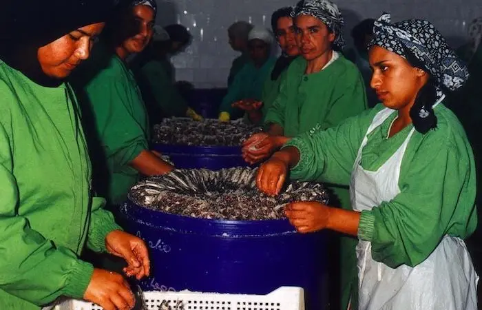 Fishing sector’s equality shortfall