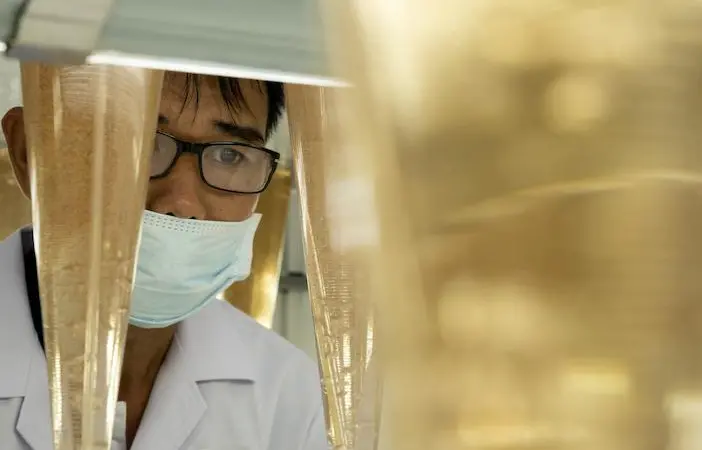 Pioneering Tech to Improve Artemia Production