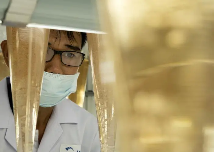 Pioneering Tech to Improve Artemia Production