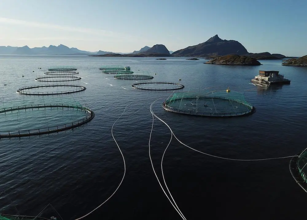 Kvarøy salmon farm off the island of Selsøyvær in the Norwegian Sea Photo: AKVA Group