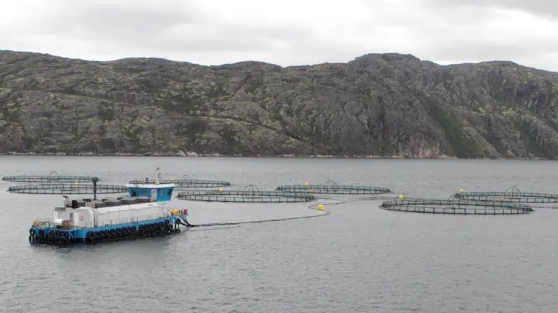 Russian Aquaculture, back on track