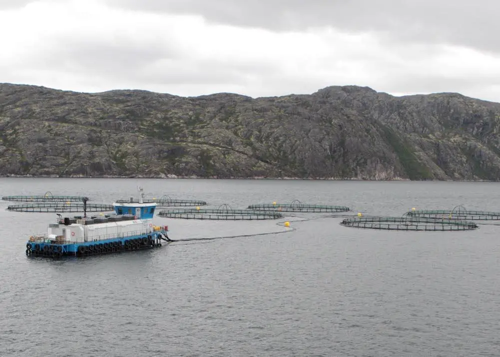 Russian Aquaculture, back on track