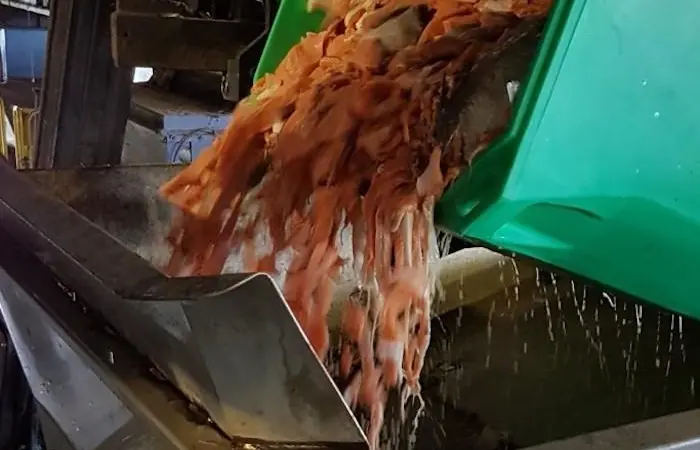 A Landia pasteuriser has helped OHLEH win a VIBES award Photo: Landia