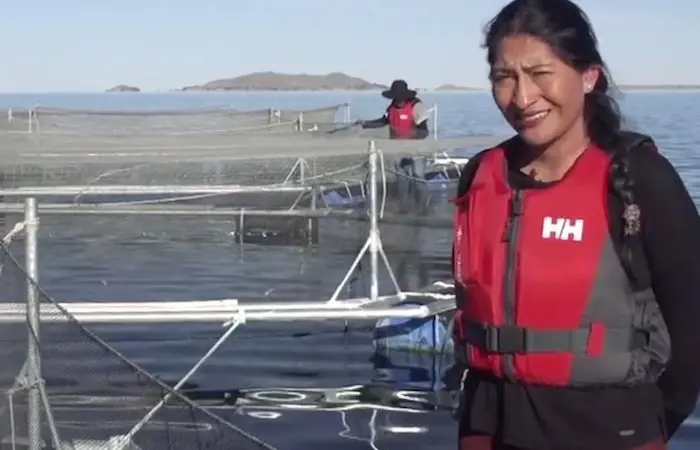 WSI video competition open to 2020 entries