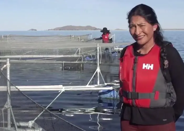 WSI video competition open to 2020 entries