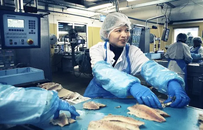 Danish Fish brand extends to farmed fish