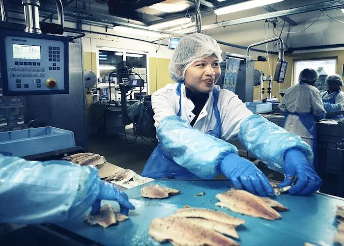 Danish Fish brand extends to farmed fish