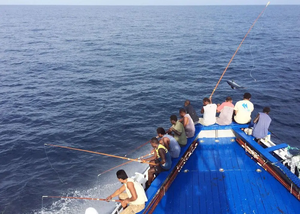 First multi-gear MSC tuna certification