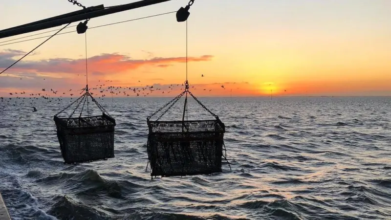 mussel farming