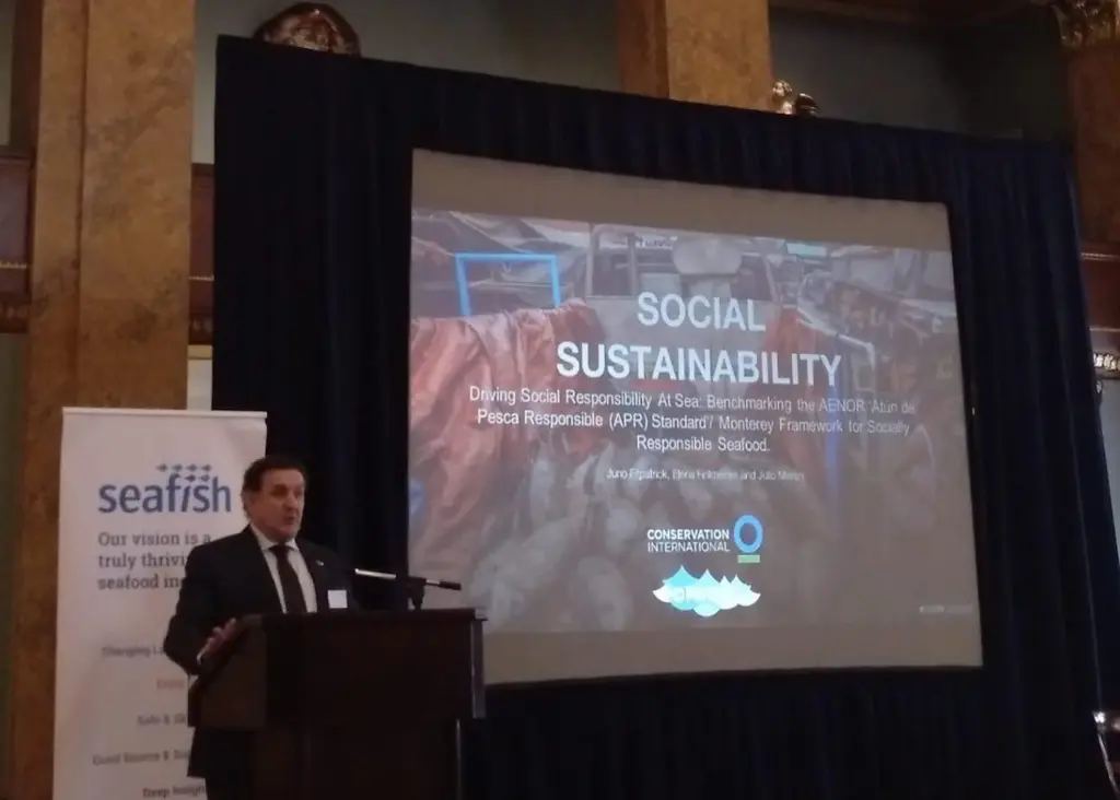 The Spanish tuna fleet is sharing its sustainable fishing standard with North American NGOs Credit: Seafish