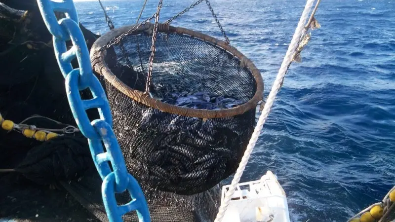 The Ecuadorian government has adopted the National Tuna Action Plan Credit: TUNACONSThe Ecuadorian government has adopted the National Tuna Action Plan Credit: TUNACONS