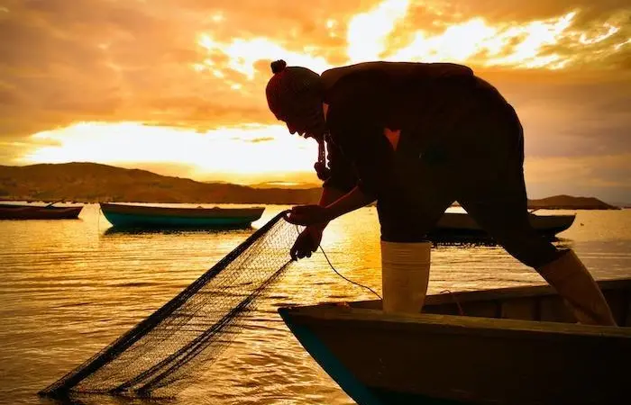 Organic trout from the Andean highlands