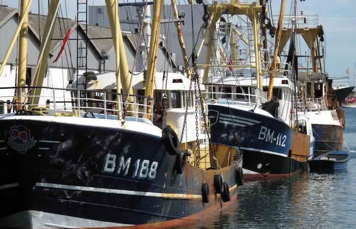 The impact of the COVID-19 crisis on the seafood sector is being discussed by the NFFO and UK government Photo: NFFO
