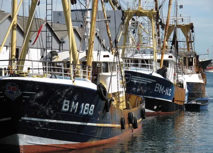 The impact of the COVID-19 crisis on the seafood sector is being discussed by the NFFO and UK government Photo: NFFO