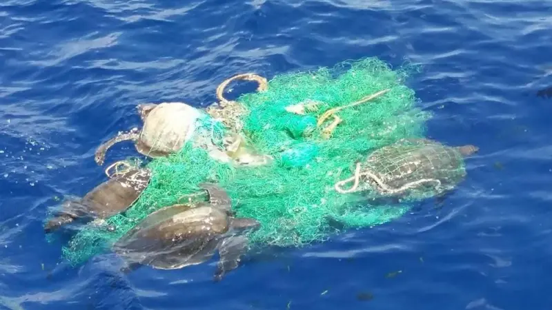 IPNLF launches ghost gear initiative