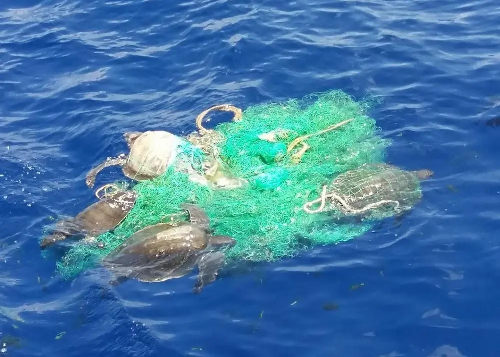 IPNLF launches ghost gear initiative