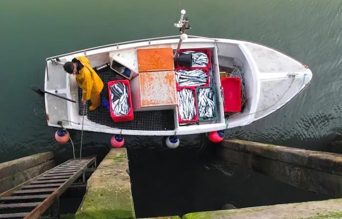 Seafood Cornwall's #FishToYourDoor initiative