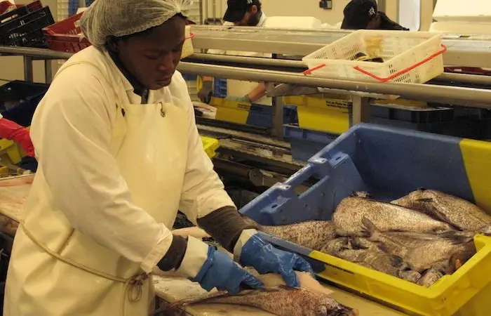AIPCE-CEP is urging for greater action to support the fish processing and trading sector Photo: AIPCE-CEP