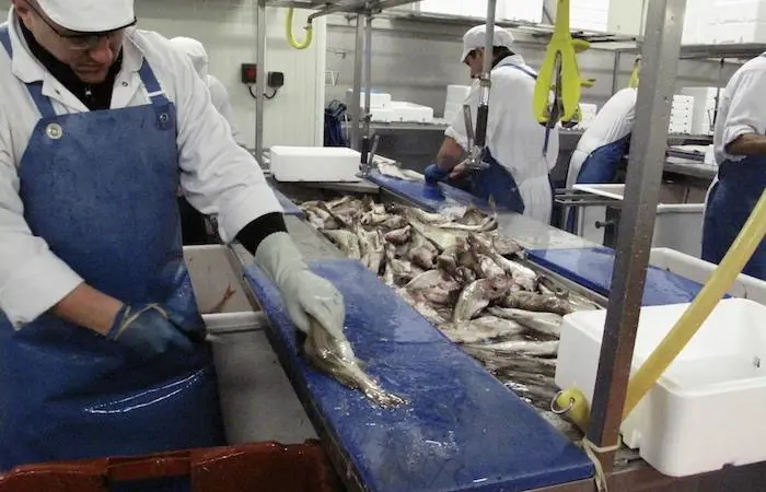 China’s demand for protein