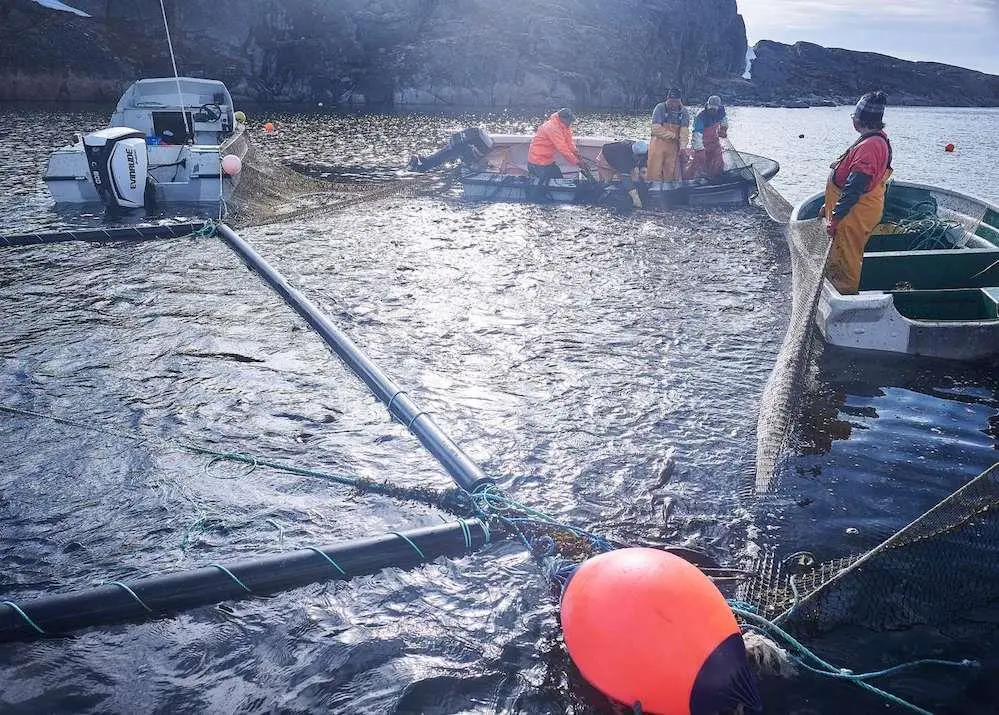 From Fish Waste to Value Added Ingredients