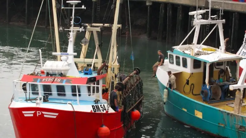 Seafish is issuing key worker status certificates Photo: Seafish