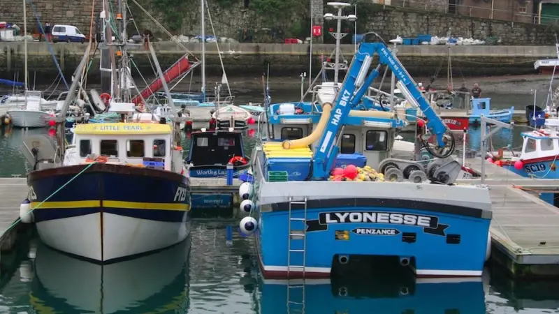 The UK government has announced a £10 million fund for fishing businesses in England