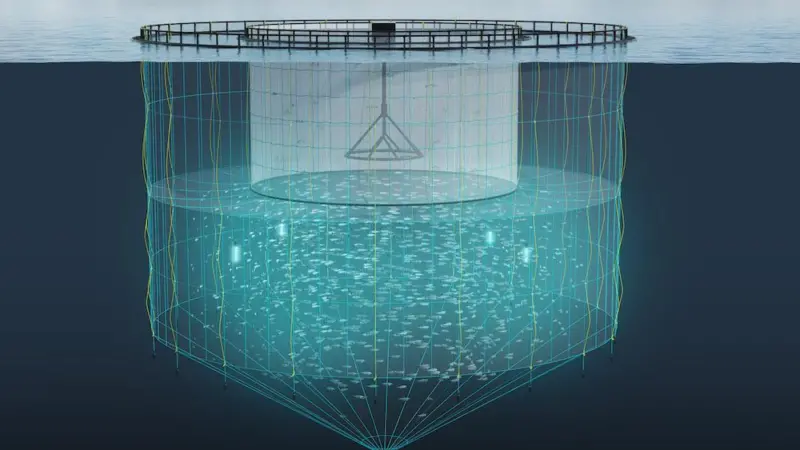 AKVA’s Tubenet reduces sea lice infestation in salmon Photo: AKVA Group