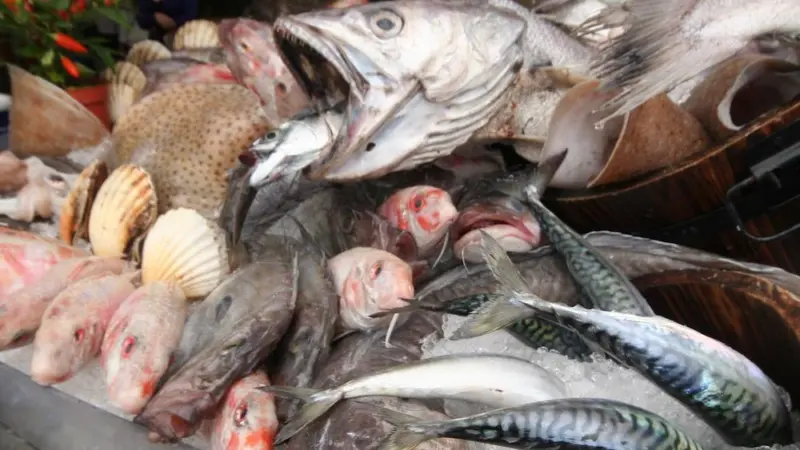 The Domestic Seafood Supply Scheme will fund projects that help the seafood industry in England