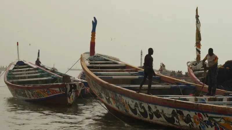 Senegal’s fishing industry is at risk from ‘shady’ foreign investors, says the EJF Photo: EJF