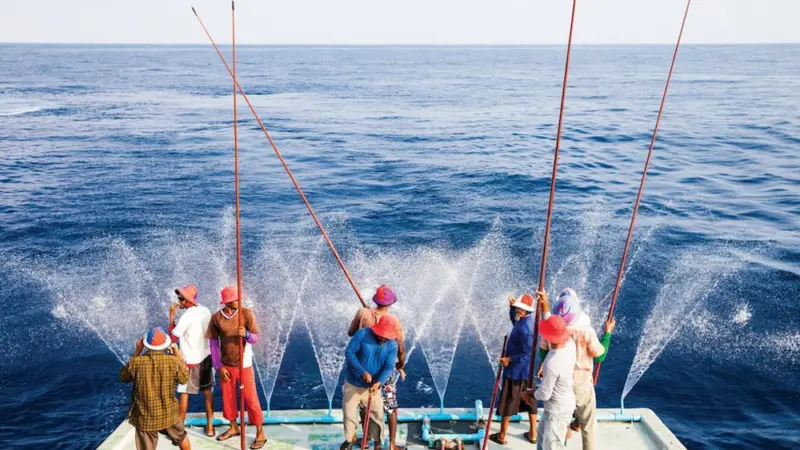 Pole-and-line fishing for tuna Photo: Nice and Serious/MSC