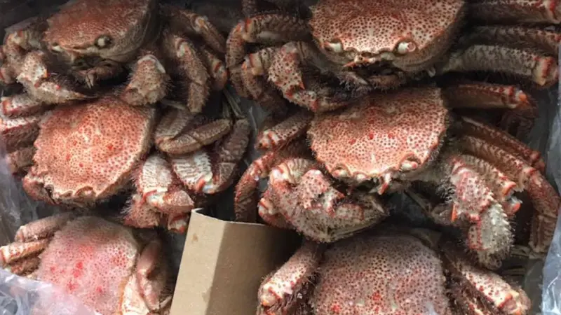 Russian Crab announces first quarter catches