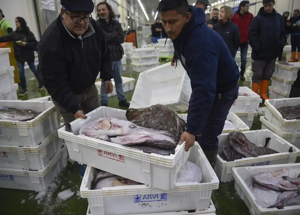 Maintaining Vigo’s fisheries value chain