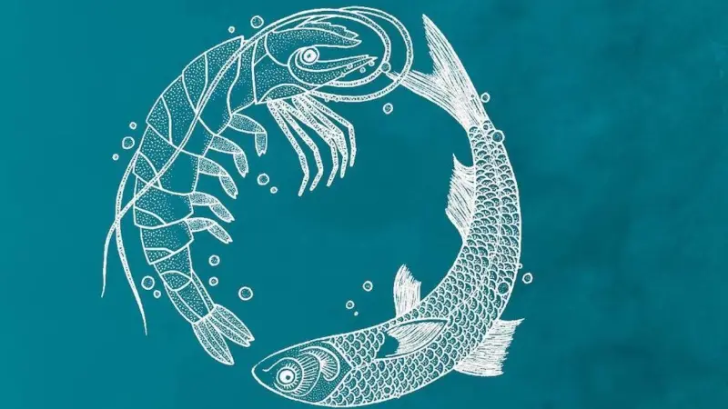 Skretting has released its 2019 sustainability report Photo: Skretting