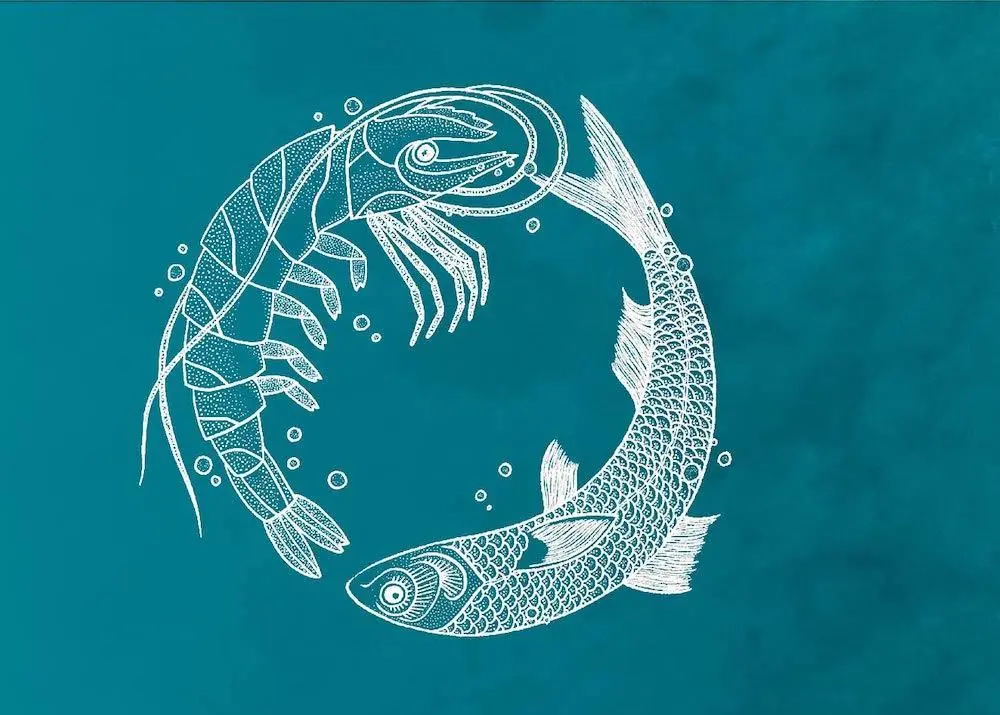 Skretting has released its 2019 sustainability report Photo: Skretting