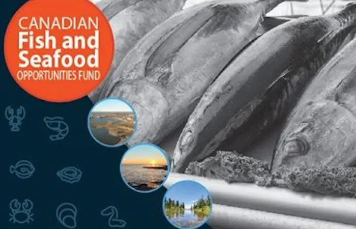 Canada re-opens Opportunities Fund