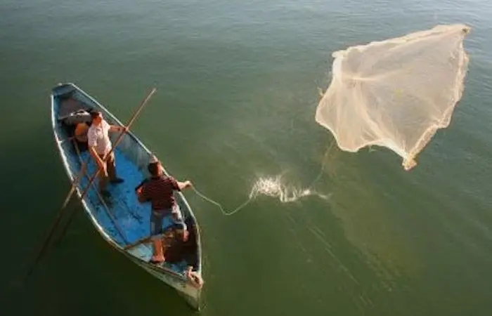 The GEF has endorsed two new projects to tackle overexploitation in the Mediterranean and Black Sea Photo: GFCM