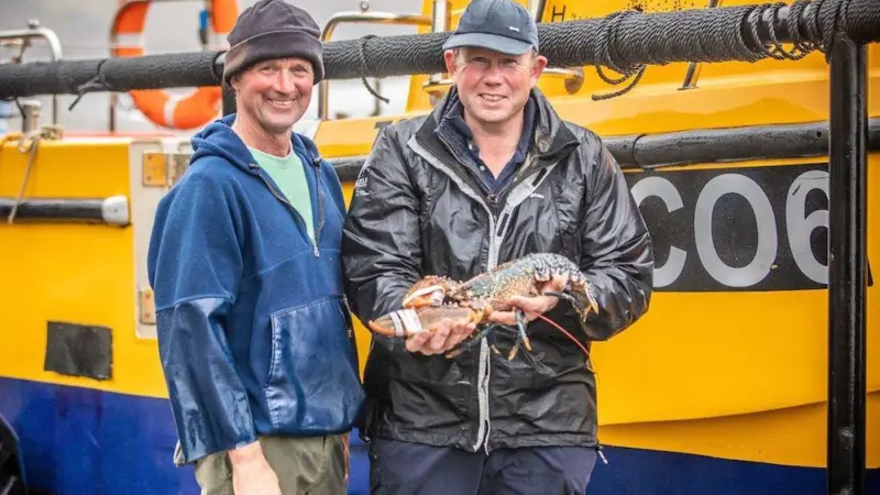 Lobster claw bands will help promote Welsh seafood Photo: Wales Seafood Cluster