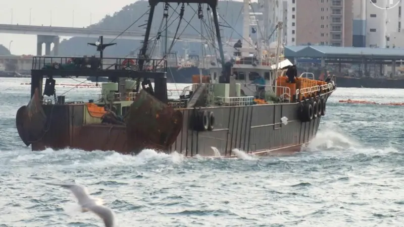 Korean fisheries need reform, claim NGOs