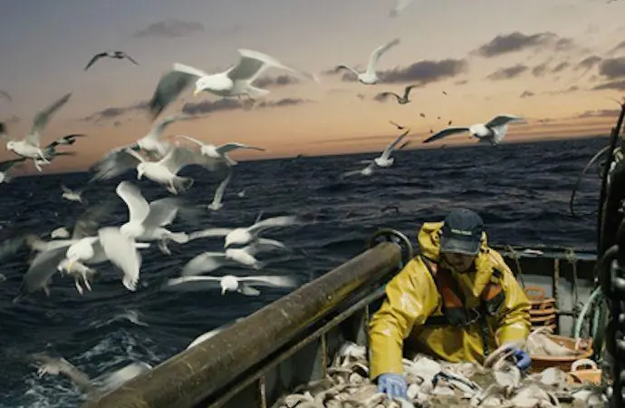 safety at sea