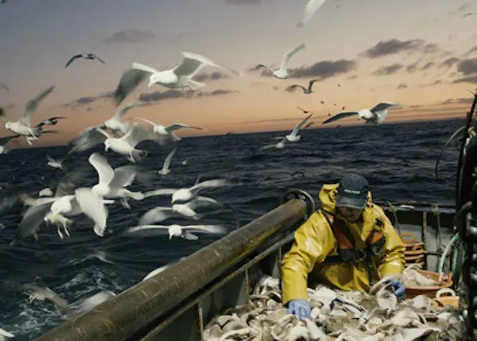 safety at sea