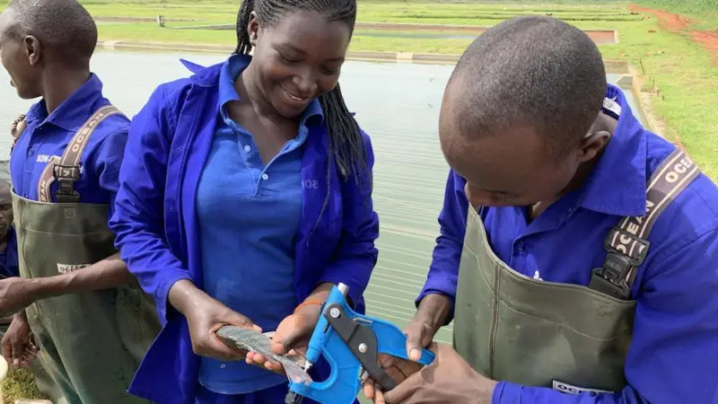 Xelect is working on a genetic analysis project in East Africa Photo: Xelect