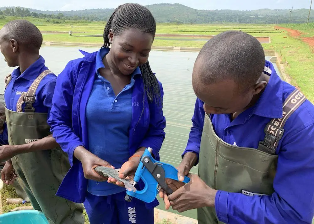 Xelect is working on a genetic analysis project in East Africa Photo: Xelect
