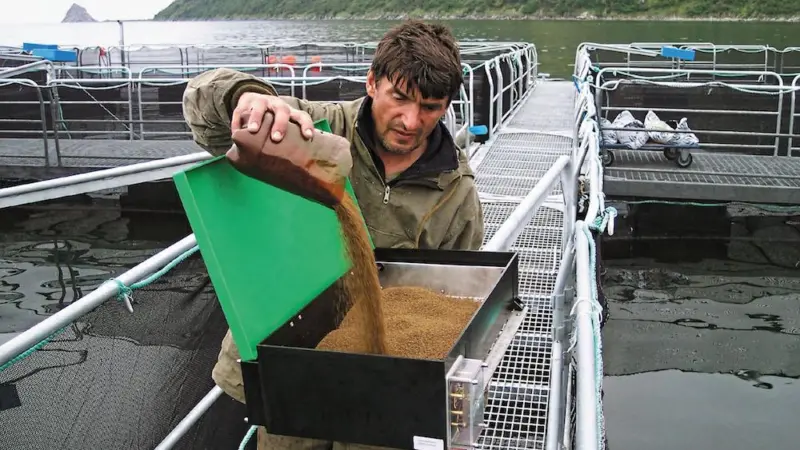 Aiming for aquafeed self-sufficiency