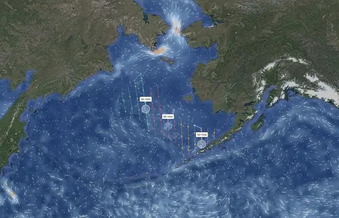 Saildrones are being used to monitor pollock in the Bering Sea Photo: Saildrone