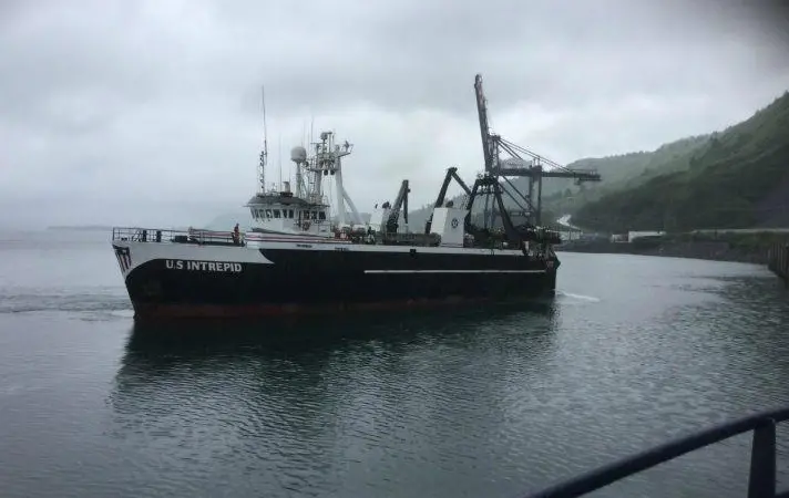 Trawling for rockfish