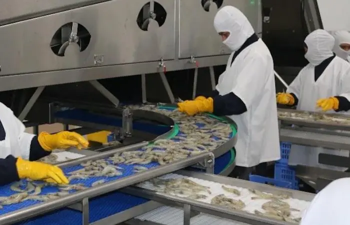 Ecuador’s shrimp market shrinks