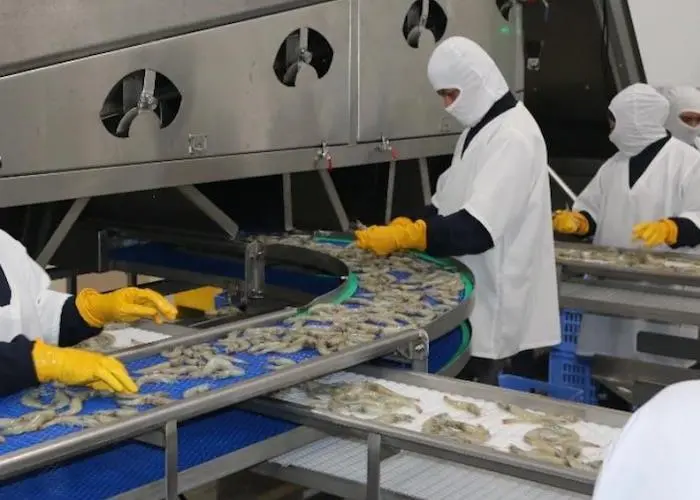 Ecuador’s shrimp market shrinks